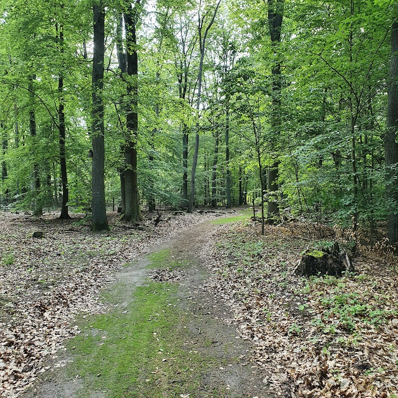 Game reserve in Tegel Forest