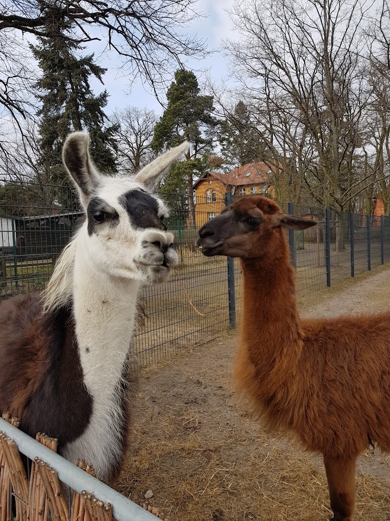 Kleintierhof Wuhletal