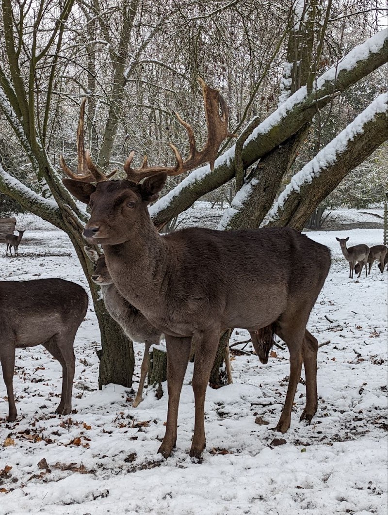 Wildtiergehege im Botanischen Volks Park