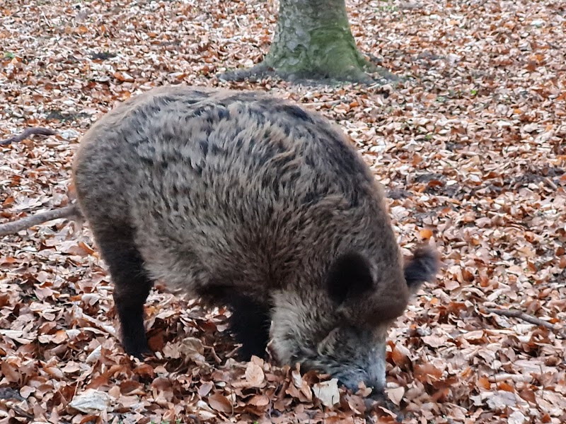 Wildtiergehege